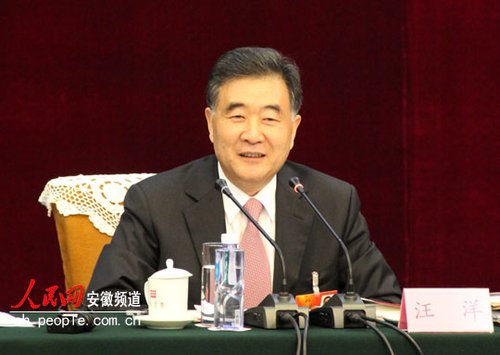 汪洋：改革就是要拿刀割自己的肉 必须坚定信心