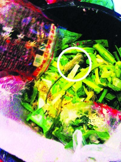 死老鼠近在眼前。