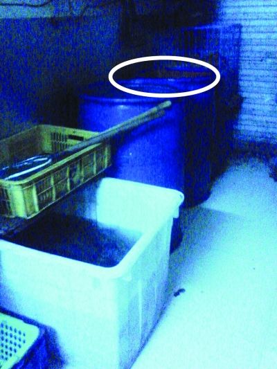 那张神秘的过滤网。