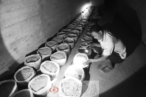 农民种“良心菜”预订者吃不完 运到市场卖不掉 