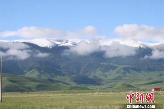 “六月飞雪”伴云海 新疆昭苏遭极端低温天气