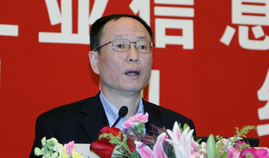王一鸣： 下半年经济增长下行压力较大