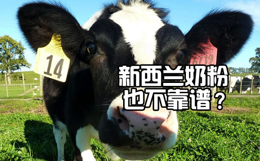 新西兰恒天然集团奶粉出现质量问题