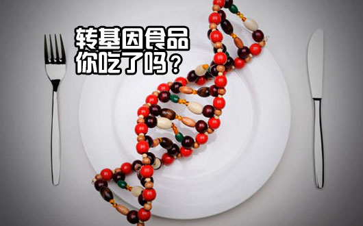 转基因食品，你吃了吗？--沸沸扬扬转基因之争