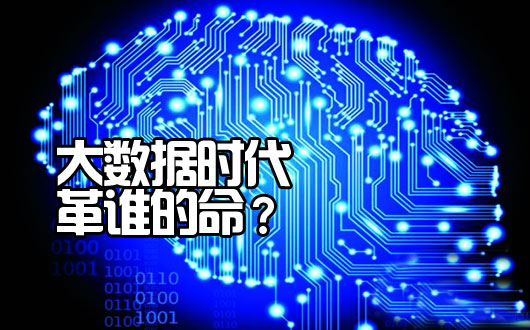 大数据：革谁的命 颠覆传统的故事轮番上演