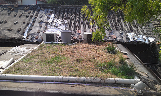 女孩为省房租北京胡同房顶搭蒙古包住1年