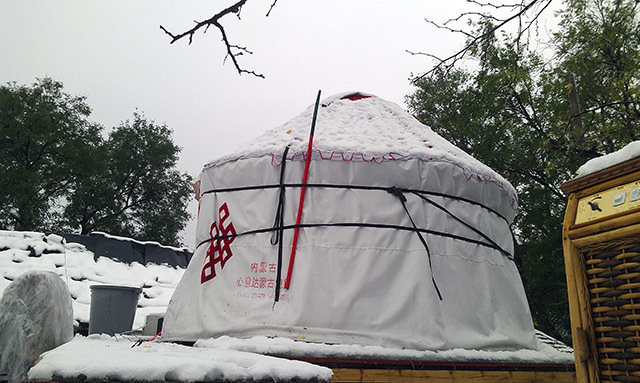 女孩为省房租北京胡同房顶搭蒙古包住1年