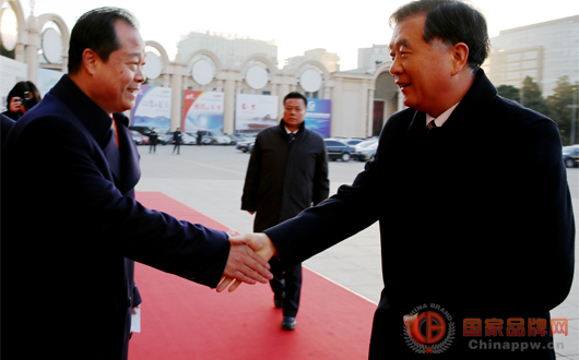 第五届中国对外投资合作洽谈会盛大开幕 汪洋 李刚