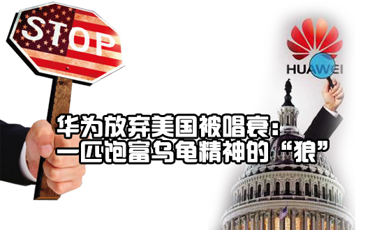 华为放弃美国被唱衰:一匹饱富乌龟精神的&ldquo;狼&rdquo;