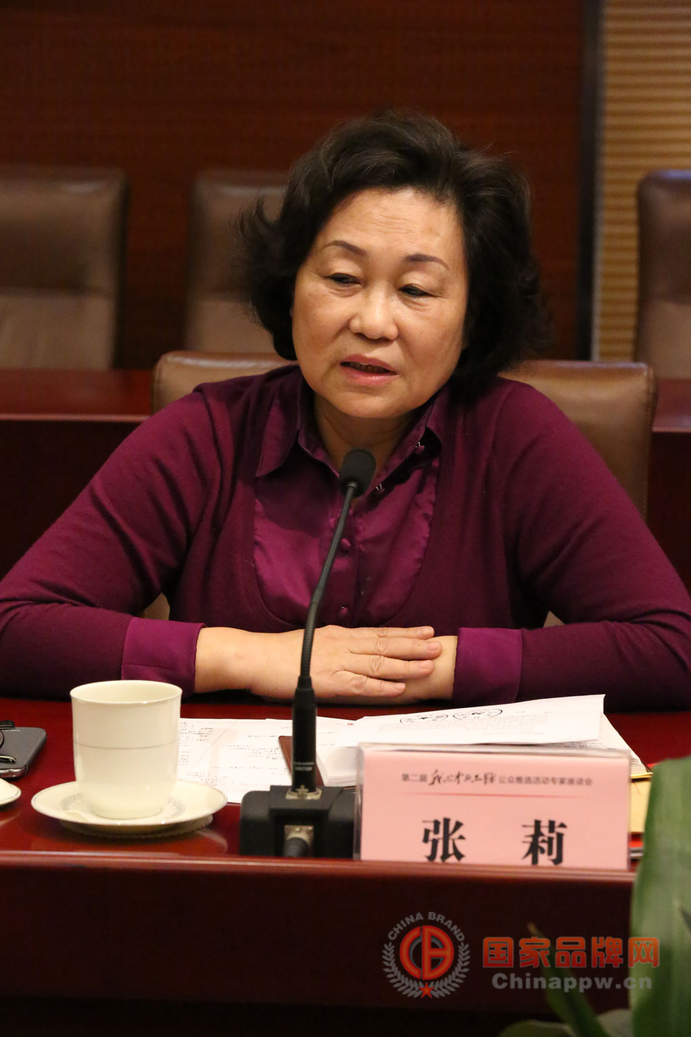 中国纺织工业联合会张莉副会长