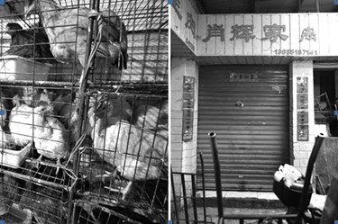 粤家禽业损失规模扩大 已有禽企老板&ldquo;跑路&rdquo;