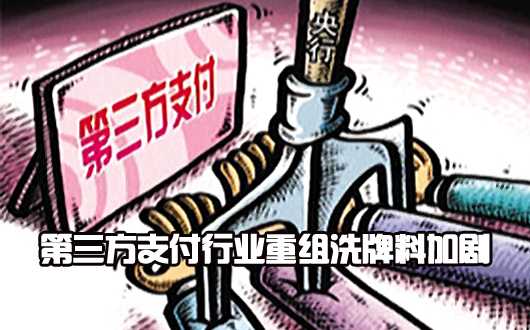 &ldquo;限额绝杀&rdquo;虚惊一场 第三方支付行业重组洗牌料加剧