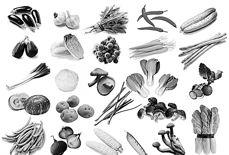 &ldquo;两会&rdquo;代表、委员热议食品安全与国人健康