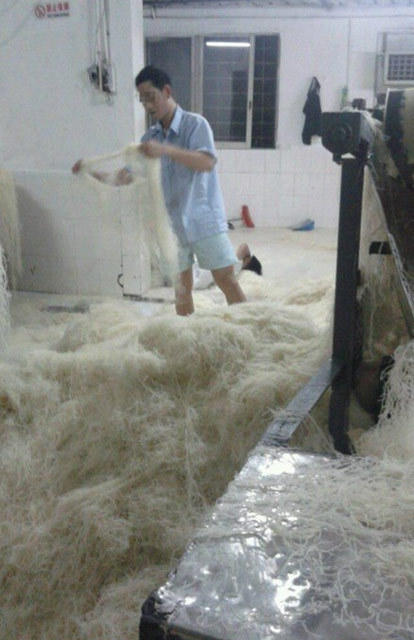 9日下午,东莞市食品药品监督管理局对此回应称,涉事企业为道滘同成米制品厂,图片拍摄于2014年春节前,曝光的光脚员工春节前已离职。目前,已责令该企业停业整顿,在整改措施落实前不得进行食品生产。