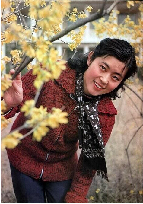 倪萍坎坷情史