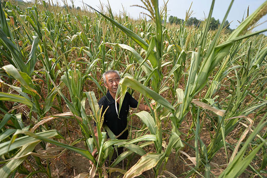 2014全国大范围干旱