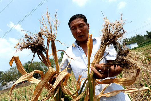 2014全国干旱