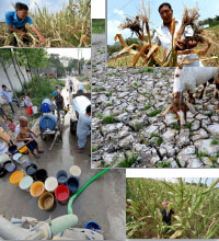 2014年全国大范围干旱