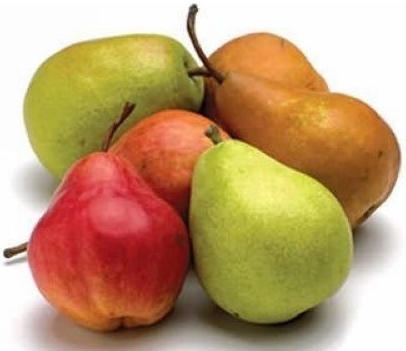 医生不吃的水果