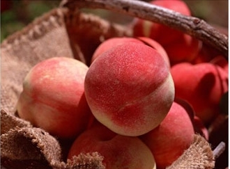 医生不吃的水果