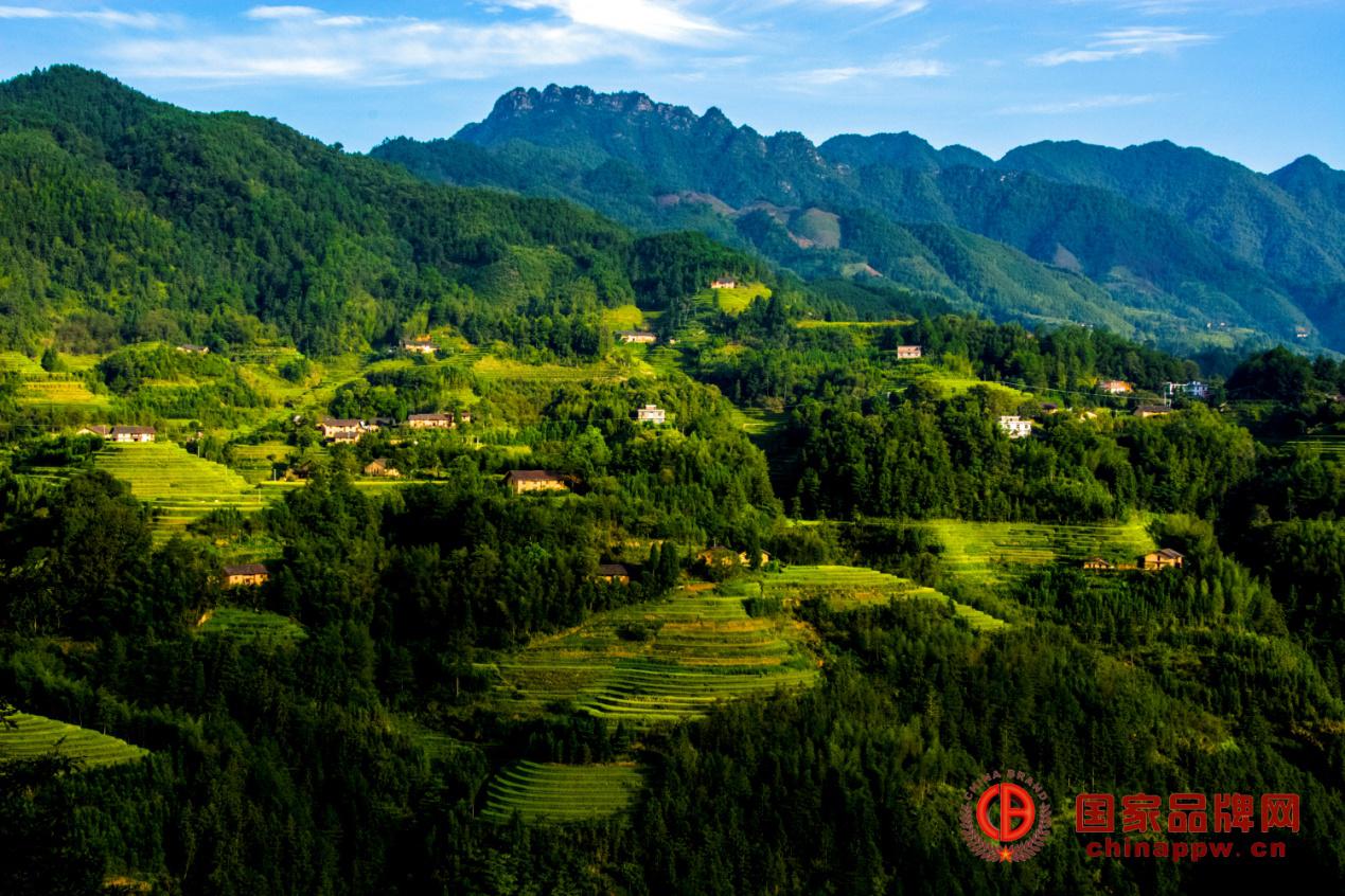 醉美乡村&mdash;&mdash;新柳村