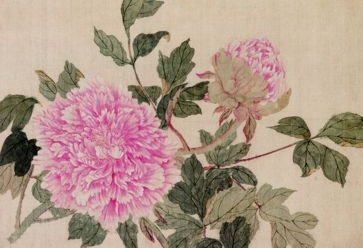 1960年代风靡一时的《花鸟画谱》