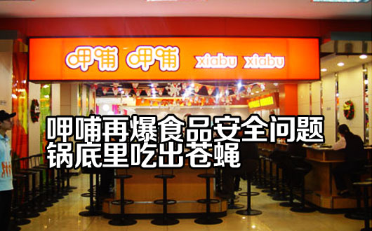 食客呷哺用餐锅底漂出苍蝇 想看后厨被店方拒绝