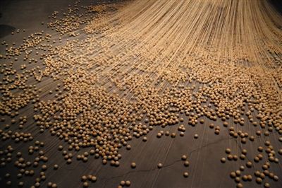 多家美术馆落纷纷地北京 民营的会更亲民吗