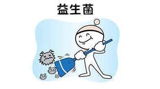 益菌家族守卫人类健康