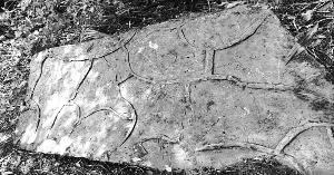 四川昭化发现神秘石刻或与蜀道分布有关(图)