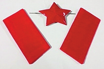 我军65式帽徽、领章