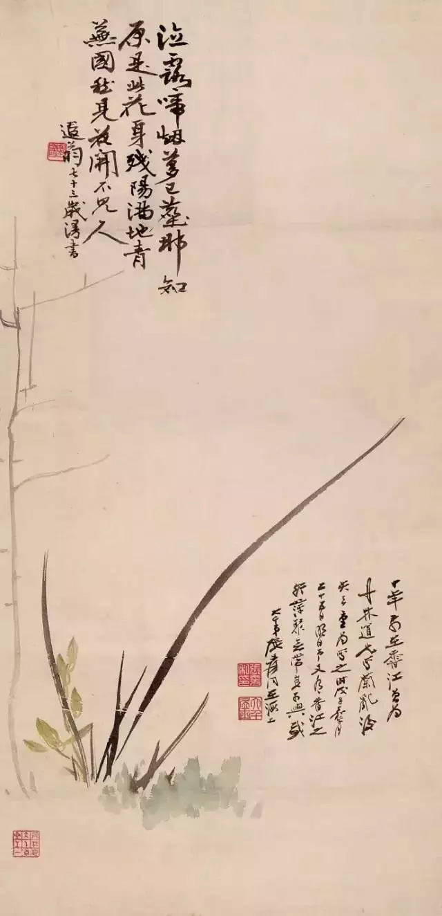 静赏张大千的兰花图