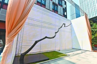 曾梵志雕塑《踏雪寻梅》亮相 长达八米重约两吨