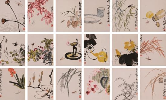 叶隐闻声：齐白石十八开花卉工笔草虫册回湘展