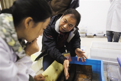 海昏侯墓出土文物数量超过马王堆