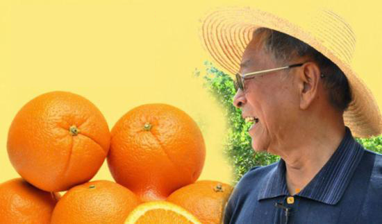 一个橙子砸中生鲜电商&ldquo;七寸&rdquo;