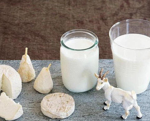 羊奶、驴奶、骆驼奶&hellip;&hellip;小众奶没那么神奇