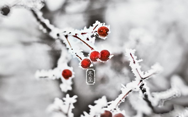 冬至大如年 饺子不等闲