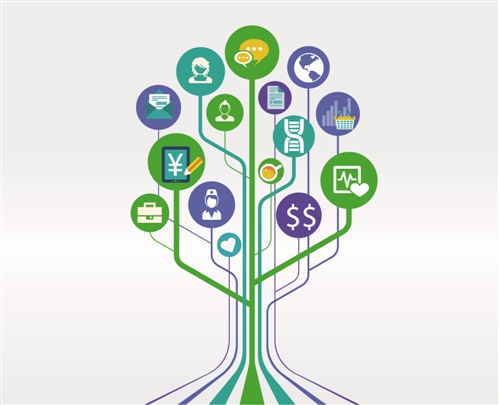 王苔：&ldquo;互联网+&rdquo;让信息更透明