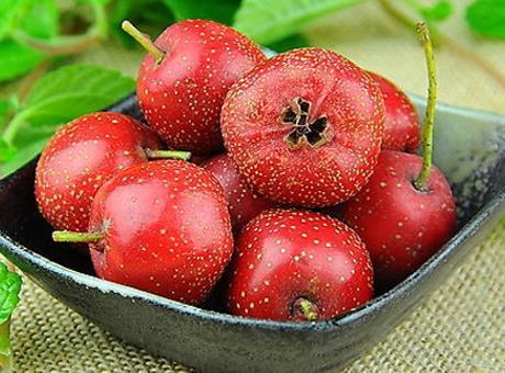 健胃消食药乱吃也会伤身体