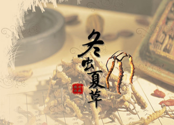 冬虫夏草保健品&ldquo;特许&rdquo;试点取消