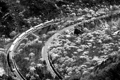 &ldquo;开往春天的列车&rdquo;设固定拍摄点供游客拍照