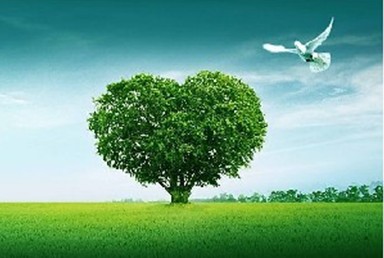 掐&ldquo;大头&rdquo;捐零头 &ldquo;慈善&rdquo;项目竟成企业敛财工具