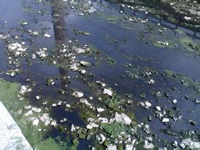 各地打响专项治理黑臭水体攻坚战 谨防治标不治本