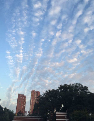 地球"躁动不安" 你被这些地震"常识"忽悠了吗