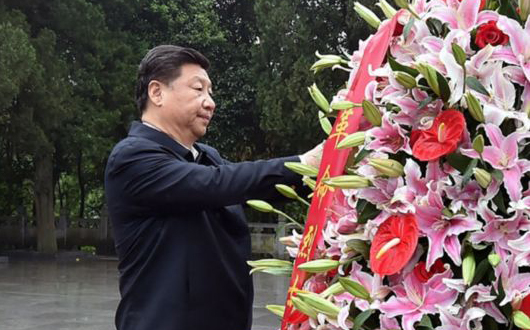 习总书记到金寨