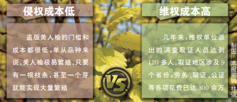 美人榆&ldquo;打官司&rdquo;,历时四年半艰难胜诉