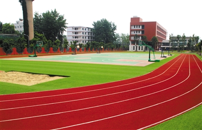 教育部：立即叫停在建和拟建塑胶跑道施工