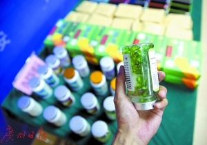 黄绿医生卖保健品   两千多人上当受骗