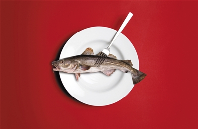 揭秘鳕鱼市场乱象:命名混乱缺乏标准 品种不同价差十倍